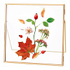 Brass Photo Frames AJEW-WH0816-133G-A-1