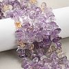 Natural Ametrine Beads Strands G-P622-A02-02-1