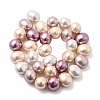 Shell Pearl Beads Strands BSHE-F013-01P-2