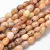 Oval Natural Agate Beads Strands G-P106-08-1