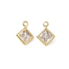 Brass Pave Clear Cubic Zirconia Charms CU-CBAD360-04G-02-1