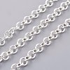 Iron Rolo Chains CHT103Y-S-1