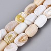 Natural Agate Beads Strands G-Q606-97B-03-2