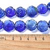 Glass Beads Strands G-B136-C01-3