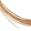 1 Roll 925 Sterling Silver Wire STER-BC0001-03B-1