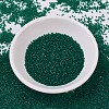 MIYUKI Delica Beads SEED-X0054-DB0776-2