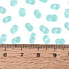 FGB Frosted Transparent Glass Seed Beads SEED-N013-06A-10-4