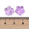 Transparent Glass Beads DGLA-E004-12M-3