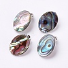 Natural Abalone Shell/Paua ShellOval Clip-on Earrings EJEW-P122-01-3