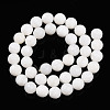 Natural White Shell Beads Strands G-T141-21-3