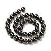 Shell Pearl Bead Strands BSHE-L025-05-8mm-5