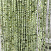 Natural Prehnite Beads Strands LS-G-RM250104-A7-1