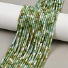 Natural Chrysoprase Beads Strands LS-G-M389-22-1