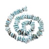 Natural Larimar Beads Strands G-D480-A18-2