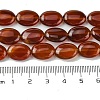 Natural Carnelian(Dyed & Heated) Beads Strands G-K365-B01-01-5