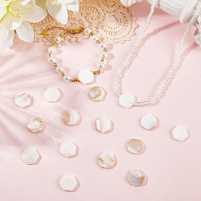2 Strands Natural Freshwater Shell Beads Strands SSHEL-SC0001-36D-1