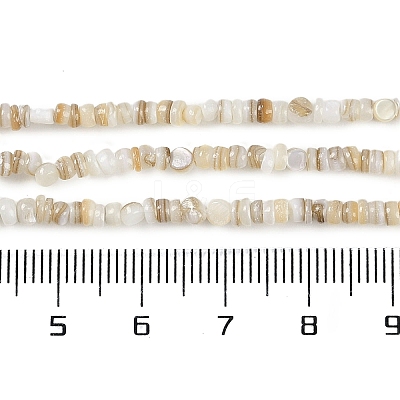 Natural Freshwater Shell Beads Strands X-BSHE-H109-13A-1