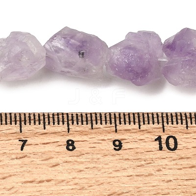 Natural Amethyst Beads Strands G-O173-010B-01-1