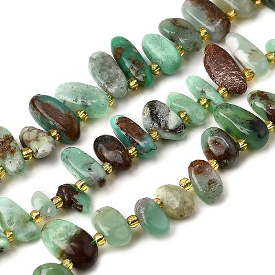 Natural Chrysoprase Beads Strands G-Z091-A04-1