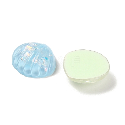 Transparent Resin Cabochon CRES-I047-01B-1