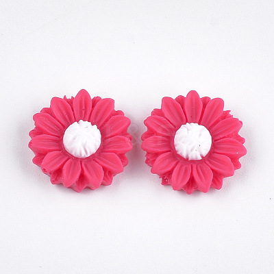 Resin Cabochons CRES-T010-60C-1