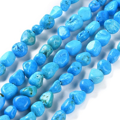Natural Howlite Turquoise Beads Strands G-P497-01C-55-1