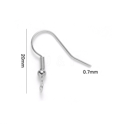 Tarnish Resistant 304 Stainless Steel Earring Hooks X-STAS-S111-003-1
