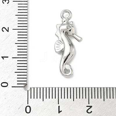 Alloy Pendants FIND-Z101-04P-05-1