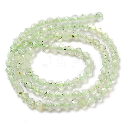 Natural Prehnite Beads Strands LS-G-G161-A13-03-1