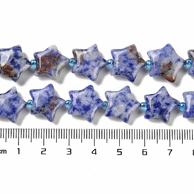 Natural Blue Spot Jasper Beads Strands G-NH0005-002-1