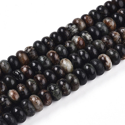 Natural Biotite Beads Strands G-T140-69A-1