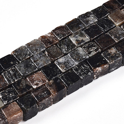 Natural Biotite Beads Strands G-T140-39A-1