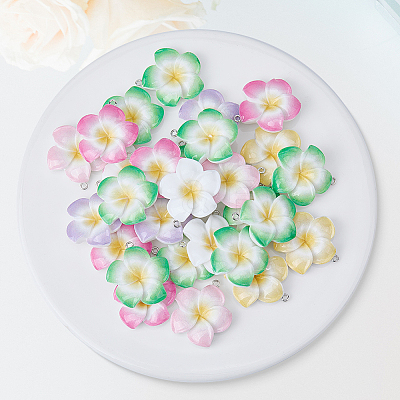 30Pcs Opaque Resin Pendants RESI-BM0001-01-1