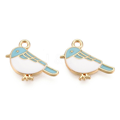 Alloy Charms X-ENAM-S119-028A-1