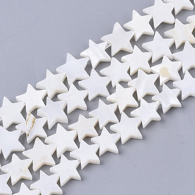 Freshwater Shell Beads Strands X-SHEL-T014-009G-1