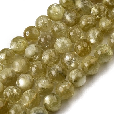 Natural Lepidolite Beads Strands G-F799-B02-10mm-1