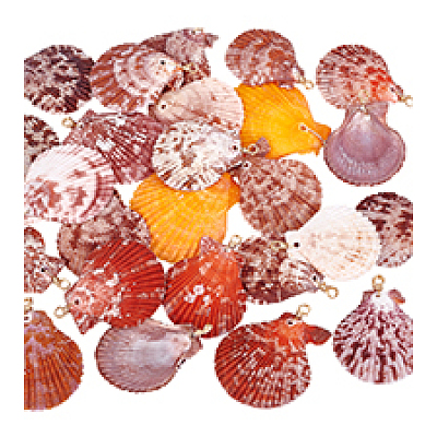 25Pcs Natural Shell Pendants PALLOY-PH01859-1