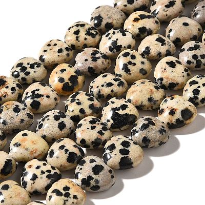 Natural Dalmatian Jasper Beads Strands G-R190-10mm-63-1