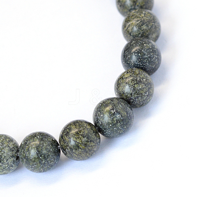Natural Serpentine/Green Lace Stone Round Bead Strands G-E334-6mm-14-1