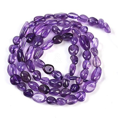 Natural Amethyst Beads Strands G-P497-01B-19-1