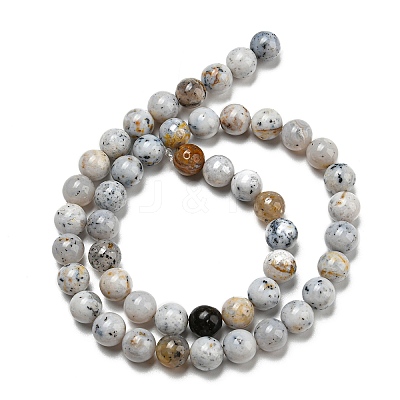Natural Dendritic Opal Beads Strands G-R494-A16-03-1