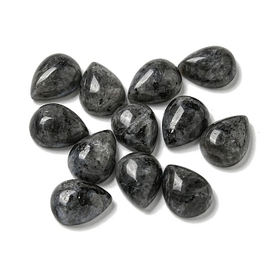 Natural Larvikite Cabochons G-Q173-02C-05-1