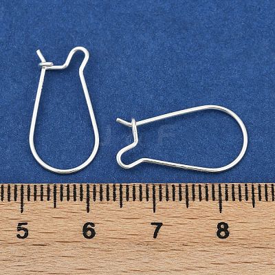 925 Sterling Silver Hoop Earrings X-STER-S002-55-1