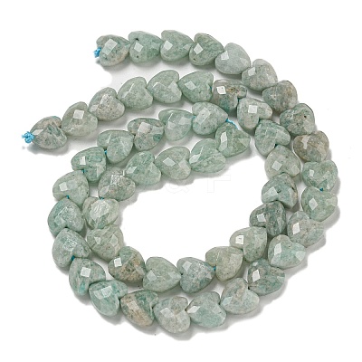 Natural Amazonite Beads Strands G-P544-E09-01-1