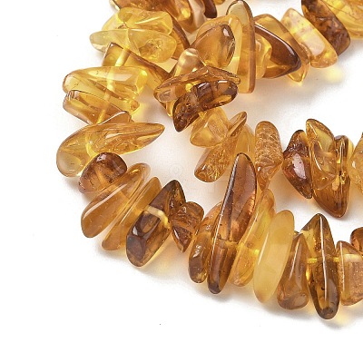Natural Amber Beads Strands G-L095-D01-07-1