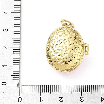 Brass Micro Pave Clear Cubic Zirconia Photo Locket Pendants KK-A303-15B-G-1