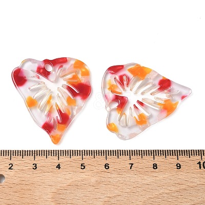 Transparent Cellulose Acetate(Resin) Pendants FIND-C088-05B-1