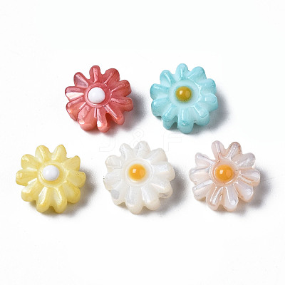 Natural Freshwater Shell Beads SHEL-N003-20B-1