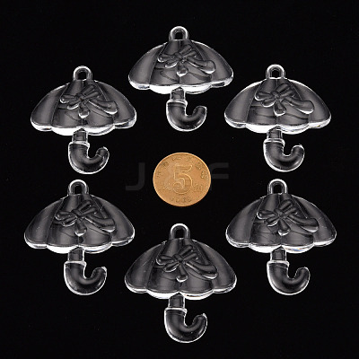Transparent Acrylic Pendants TACR-T024-01B-205-1