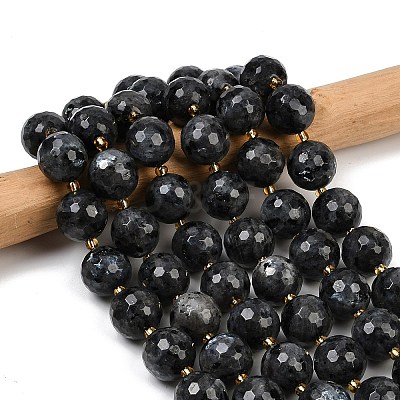 Natural Larvikite Beads Strands G-C249-A07-16mm-1